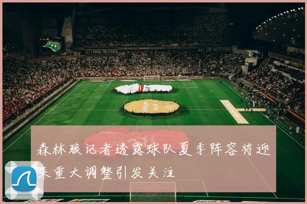 森林狼记者透露球队夏季阵容将迎来重大调整引发关注