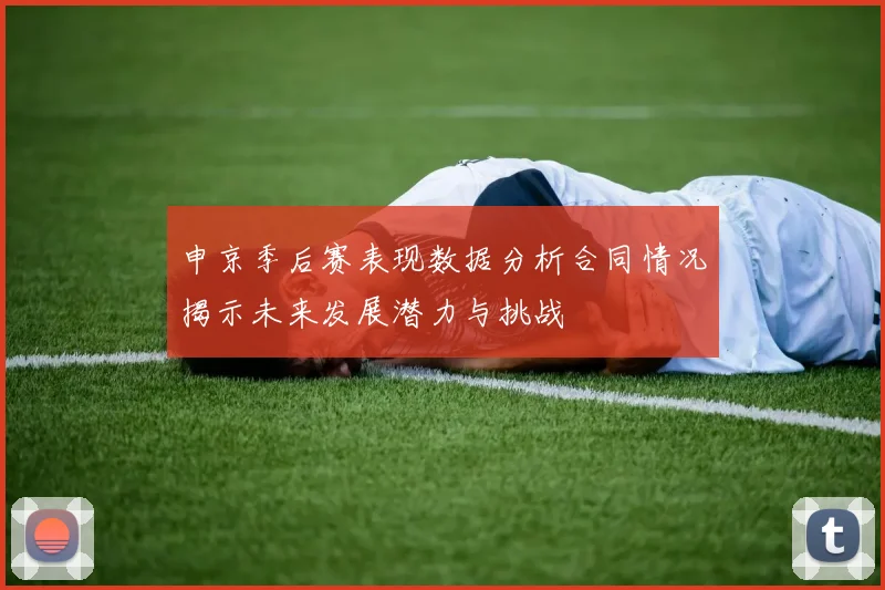 申京季后赛表现数据分析合同情况揭示未来发展潜力与挑战